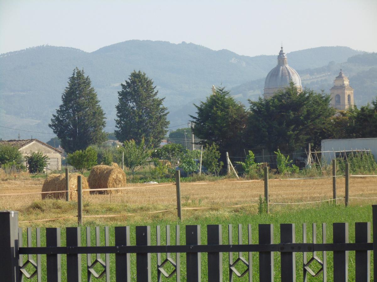 B&B La Gioiosa อัสซิซี ภายนอก รูปภาพ